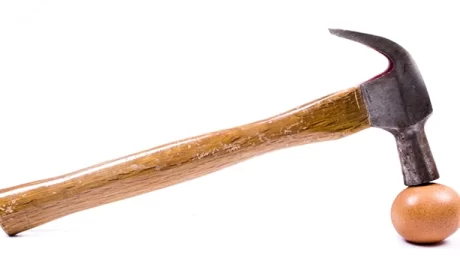 Empowering Courts to Protect “Eggs” Against “Hammers”