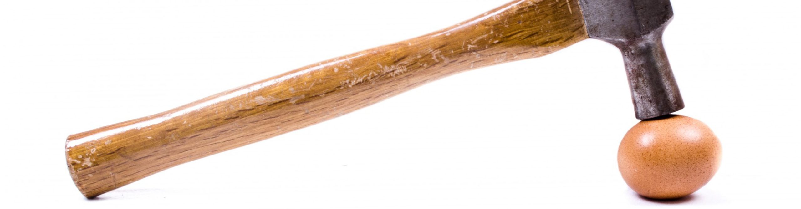 Empowering Courts to Protect “Eggs” Against “Hammers”