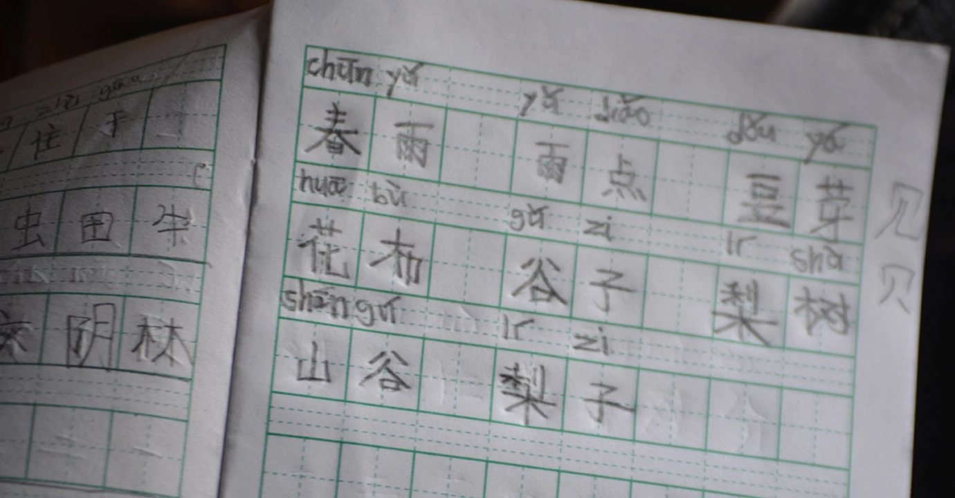 Can China Balance Between Languages and Reunification?