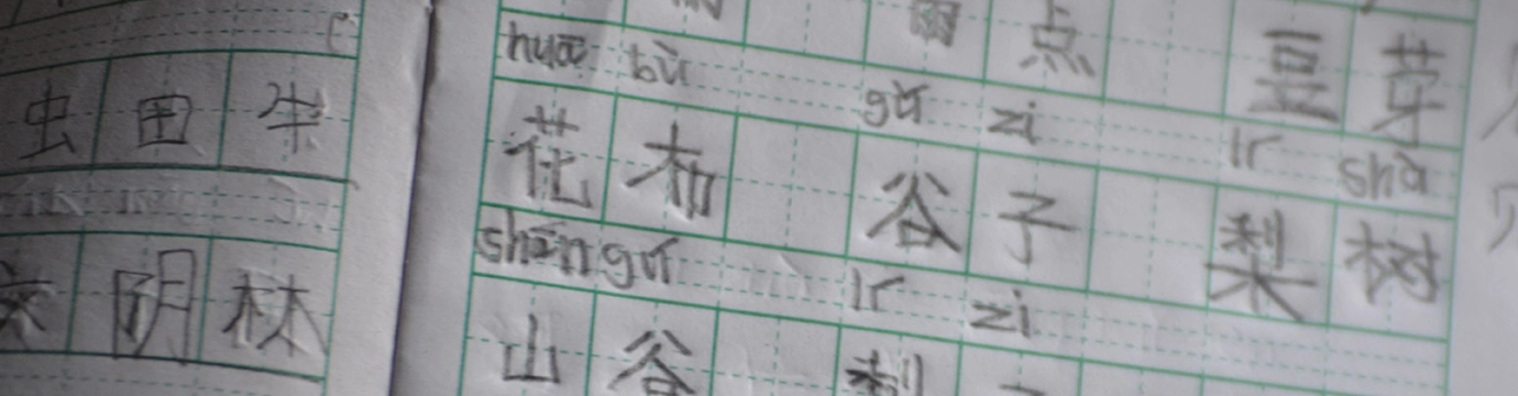 Can China Balance Between Languages and Reunification?