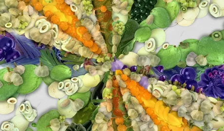 DeepSeek, AI Agriculture, and China’s Zhejiang Province